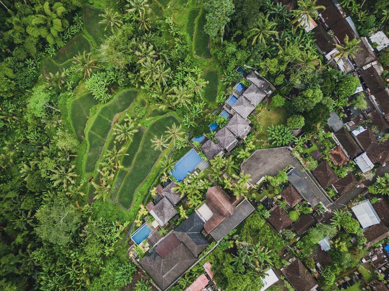 180 Rice field View