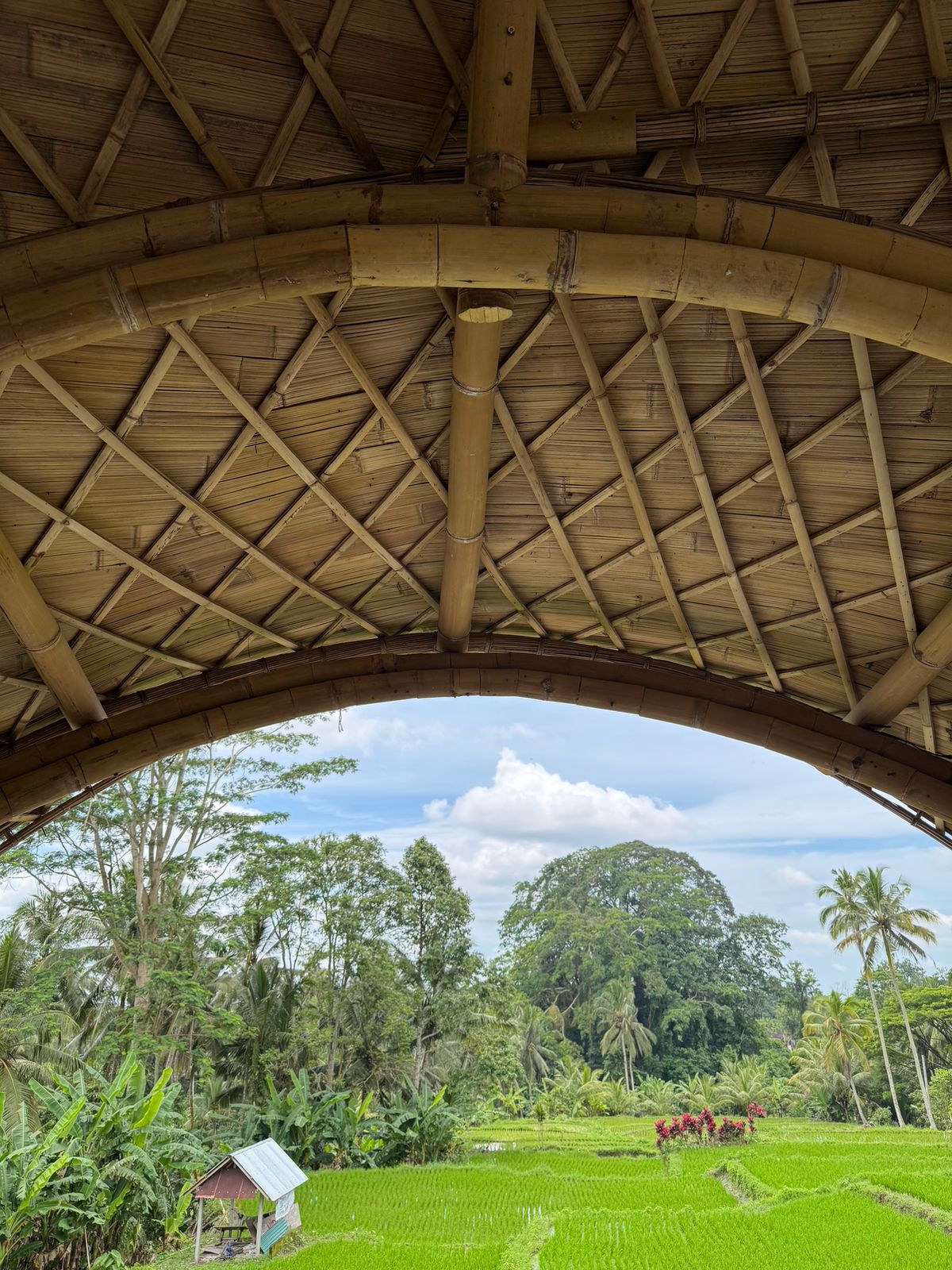 Equipoise Resort Ubud
