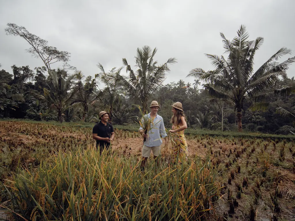 Ricefields Walk 7:30 AM - 8:30 AM | Fruit Carving Class 3:00 PM - 4:00 PM