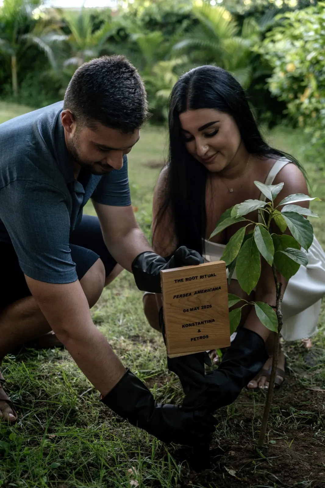 The Root Ritual