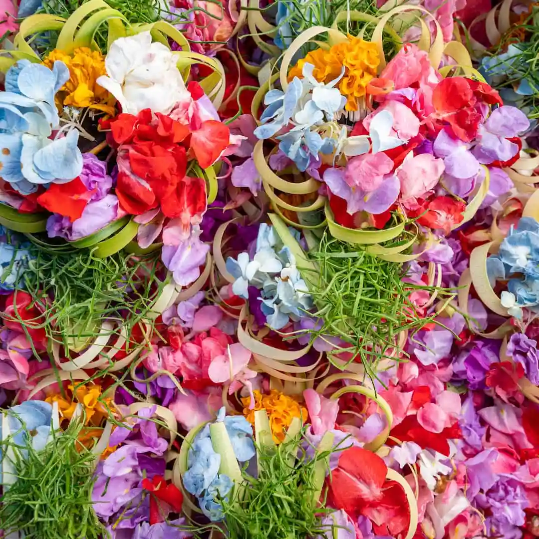 aksari resort ubud activities