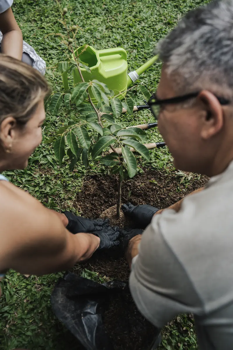 The Root Ritual