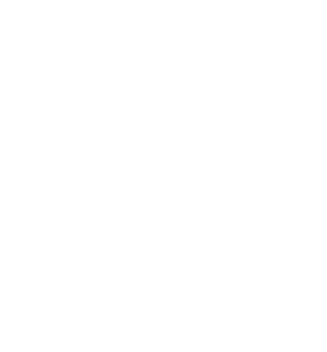 vector