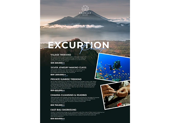 Excursion PACKAGE